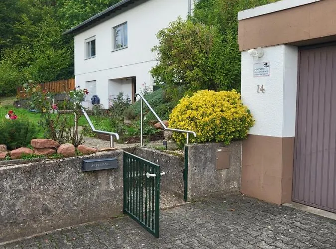 Betzenberg, Nur Netflix Appartement Kaiserslautern